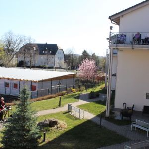 IMG 8951 IMG 8951